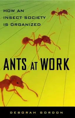 Hangyák a munkában: Hogyan szerveződik a rovartársadalom - Ants at Work: How an Insect Society Is Organized