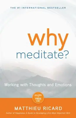 Miért meditáljunk? - Why Meditate?