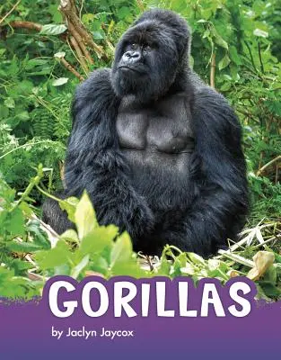 Gorillák - Gorillas