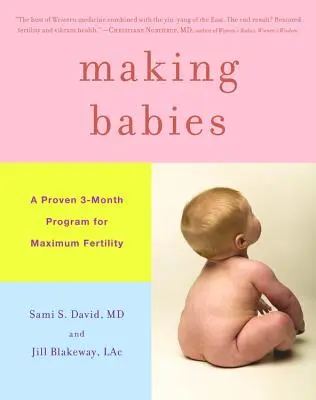 Babák készítése: Egy bevált 3 hónapos program a maximális termékenységért - Making Babies: A Proven 3-Month Program for Maximum Fertility