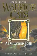 Veszélyes ösvény - Dangerous Path