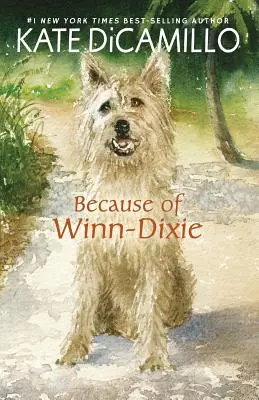 Winn-Dixie miatt - Because of Winn-Dixie