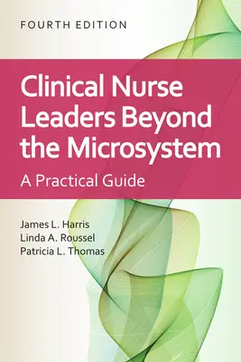 Klinikai ápolói vezetők: Beyond the Microsystem: A mikrorendszeren túl - Clinical Nurse Leaders: Beyond the Microsystem: Beyond the Microsystem