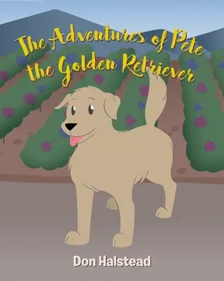 Pete, a golden retriever kalandjai - The Adventures of Pete the Golden Retriever