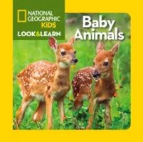 Baby Animals