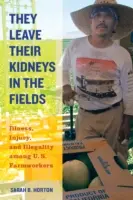 A földeken hagyják a veséjüket, 40: Betegség, sérülés és törvénytelenség az amerikai mezőgazdasági munkások körében - They Leave Their Kidneys in the Fields, 40: Illness, Injury, and Illegality Among U.S. Farmworkers