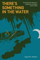 Valami van a vízben: Környezeti rasszizmus az őslakos és fekete közösségekben - There's Something in the Water: Environmental Racism in Indigenous & Black Communities