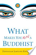 Mitől nem vagy buddhista - What Makes You Not a Buddhist