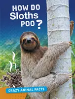 Hogyan kakilnak a lajhárok? - How Do Sloths Poo?