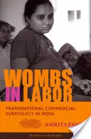 Méhek a vajúdásban: Transznacionális kereskedelmi béranyaság Indiában - Wombs in Labor: Transnational Commercial Surrogacy in India