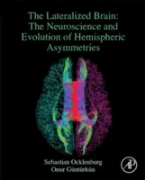 Lateralizált agy - A féltekei aszimmetriák idegtudománya és evolúciója (Ocklenburg Sebastian (Ruhr-Universitat Bochum Bochum Németország)) - Lateralized Brain - The Neuroscience and Evolution of Hemispheric Asymmetries (Ocklenburg Sebastian (Ruhr-Universitat Bochum Bochum Germany))