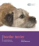 Border terrier - Border Terrier