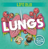 Tüdő - Lungs