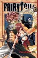 Fairy Tail V12