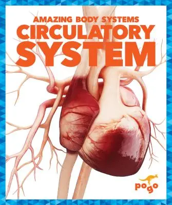 A keringési rendszer - Circulatory System