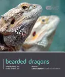 Szakállas sárkány - Bearded Dragon