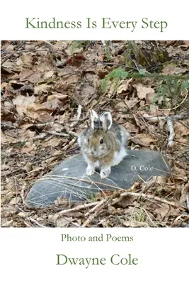 A kedvesség minden lépés - Kindness Is Every Step