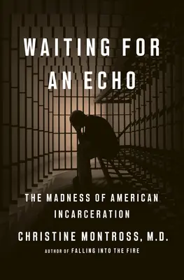 Visszhangra várva: Az amerikai bebörtönzés őrülete - Waiting for an Echo: The Madness of American Incarceration