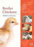 Broilercsirkék: Jólét a gyakorlatban - Broiler Chickens: Welfare in Practice