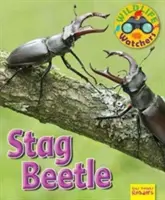 Vadon élő állatok megfigyelői: Szarvasbogár - Wildlife Watchers: Stag Beetle