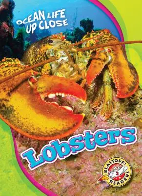 Homárok - Lobsters