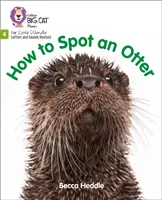 Hogyan ismerjük fel a vidrát - 4. fázis - How to Spot an Otter - Phase 4