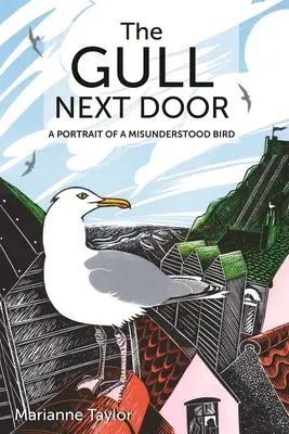 A sirály a szomszédban: Egy meg nem értett madár portréja - The Gull Next Door: A Portrait of a Misunderstood Bird