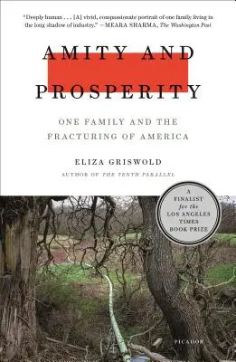 Barátság és jólét: Egy család és Amerika törése - Amity and Prosperity: One Family and the Fracturing of America