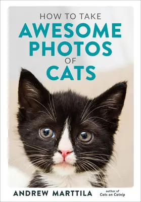 Hogyan készítsünk félelmetes fotókat macskákról - How to Take Awesome Photos of Cats