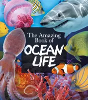 Az óceánok élővilágának csodálatos könyve - Amazing Book of Ocean Life