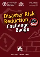 Katasztrófakockázat-csökkentési jelvény - Disaster Risk Reduction Challenge Badge