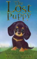 Elveszett kiskutya - Lost Puppy