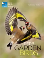 Rspb Kerti madarak - Rspb Garden Birds