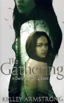 Gathering - a Darkness Rising sorozat 1. könyve - Gathering - Book 1 of the Darkness Rising Series