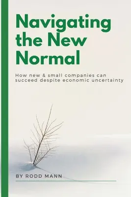 Navigálás az új normálisban: Hogyan lehetnek sikeresek az új és kisvállalkozások a gazdasági bizonytalanság ellenére is - Navigating the New Normal: How New & Small Companies Can Succeed Despite Economic Uncertainty