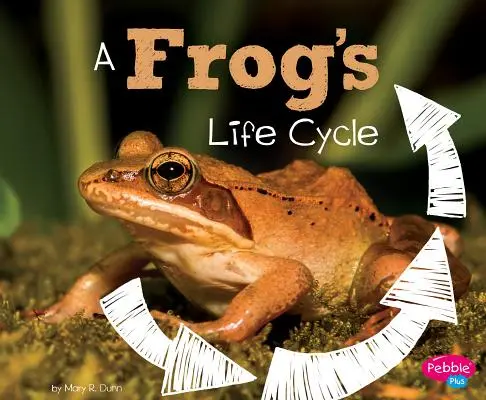 Egy béka életciklusa - A Frog's Life Cycle