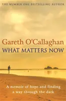 Ami most számít - Emlékirat a reményről és a sötétben való útkeresésről - What Matters Now - A Memoir of Hope and Finding a Way Through the Dark