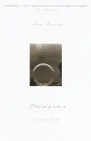 Plainwater: Esszék és versek - Plainwater: Essays and Poetry