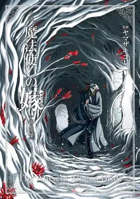 The Ancient Magus' Bride: The Silver Yarn (Light Novel) 2