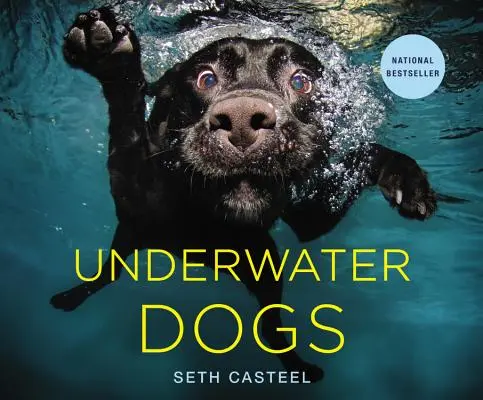 Víz alatti kutyák - Underwater Dogs