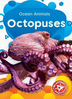 Polipok - Octopuses