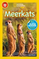 Meerkaták - Meerkats