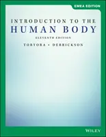 Bevezetés az emberi testbe - Introduction to the Human Body