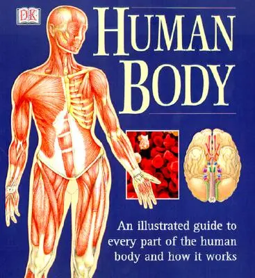 Az emberi test: Képes útmutató az emberi test minden részéhez és működéséhez - The Human Body: An Illustrated Guide to Every Part of the Human Body and How It Works