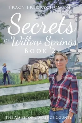 Tajemství Willow Springs - Kniha 2: Amišové z Lawrence County - Secrets of Willow Springs - Book 2: The Amish of Lawrence County