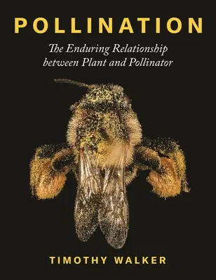 Beporzás: A növény és a beporzó közötti tartós kapcsolat - Pollination: The Enduring Relationship Between Plant and Pollinator