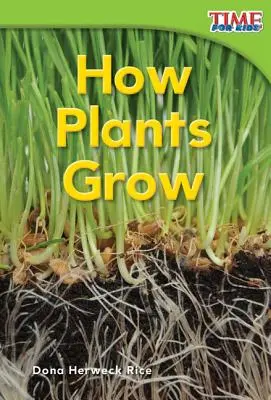 Hogyan nőnek a növények - How Plants Grow