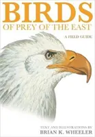 Kelet ragadozó madarai: A Field Guide - Birds of Prey of the East: A Field Guide