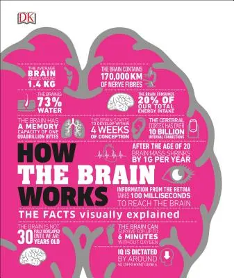 Hogyan működik az agy: A tények vizuálisan elmagyarázva - How the Brain Works: The Facts Visually Explained