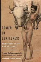 A szelídség ereje: Meditációk az élet kockázatáról - Power of Gentleness: Meditations on the Risk of Living